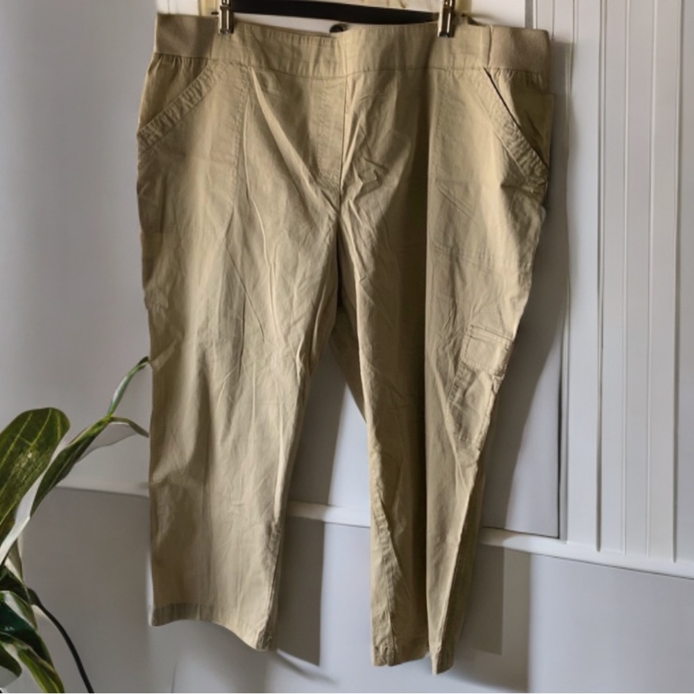 Kim Rogers’ comfort waist Capri sits at waist stretch fabric size 18W